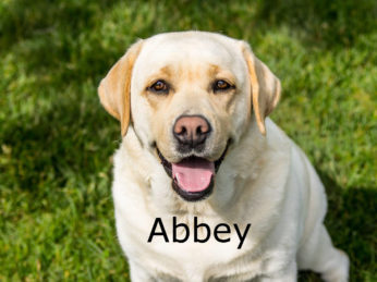 Abbey