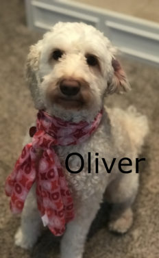 Oliver